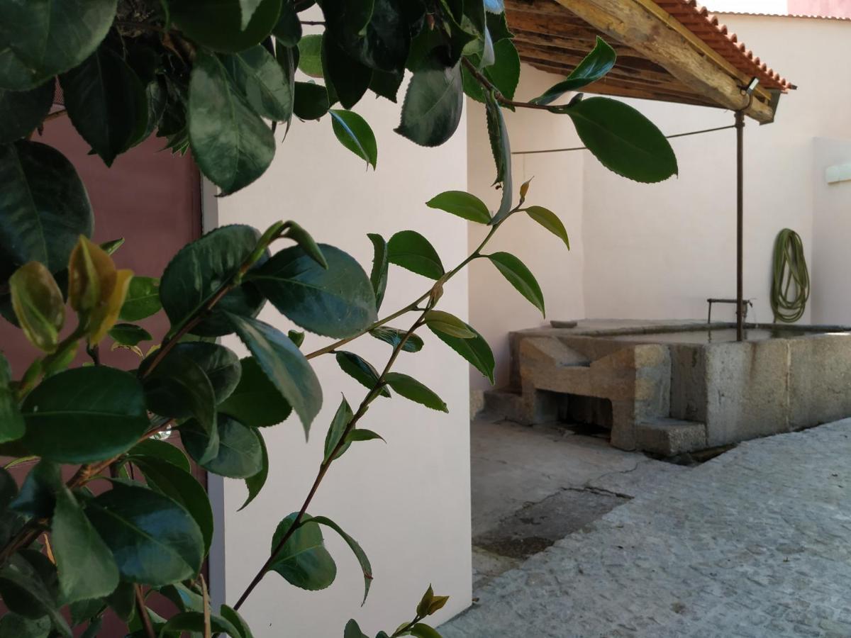 Entresocalcos Hostel Loriga Luaran gambar